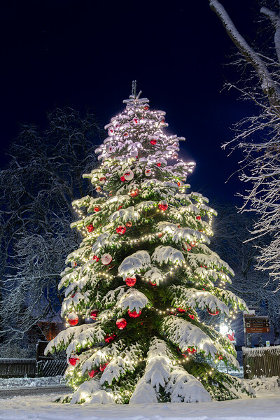 260103_Nachtaufnahmen_Schnee_IMG_5404.jpg