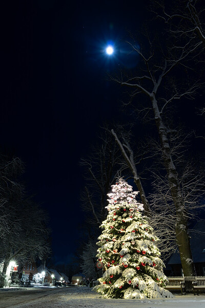 260103_Nachtaufnahmen_Schnee_IMG_5410.jpg