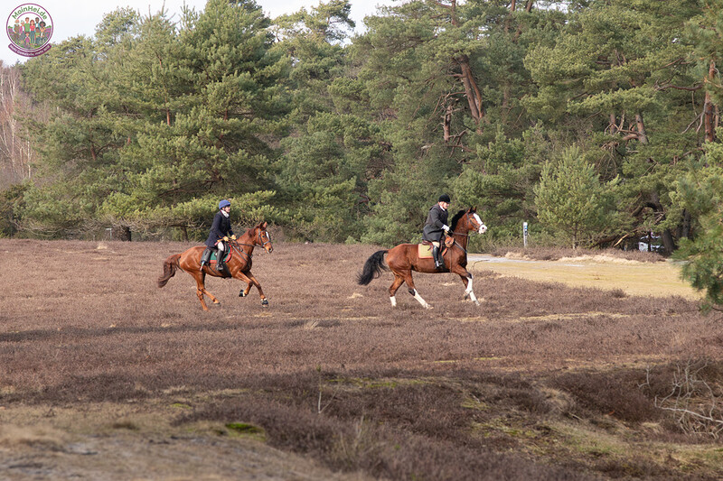 260228_Schleppjagd-Misselhorn-2026-MoinHeide_IMG_5671.jpg