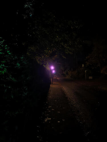 IMG_7684.jpg