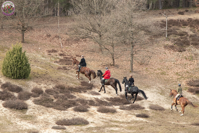 260228_Schleppjagd-Misselhorn-2026-MoinHeide_IMG_6007.jpg