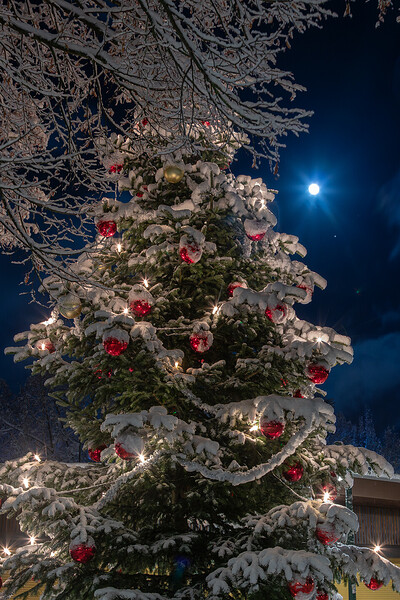 260103_Nachtaufnahmen_Schnee_IMG_5309-2.jpg