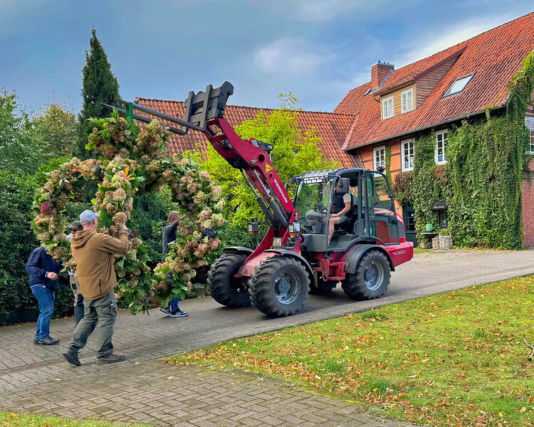a_IMG_0094_herbstkrone2024.jpg