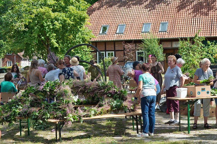 Groß IMG_6582heidekrone082024.jpeg
