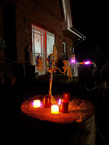 IMG_7688.jpg
