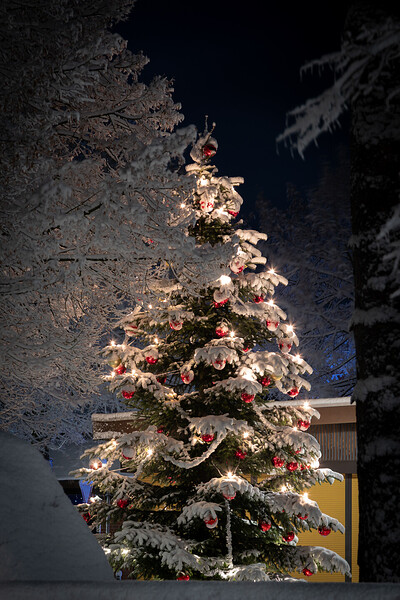 260103_Nachtaufnahmen_Schnee_IMG_5291.jpg